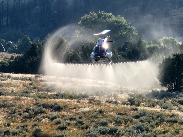 New Episode – Cheatgrass 101: Fighting Back – What Landowners Can Do