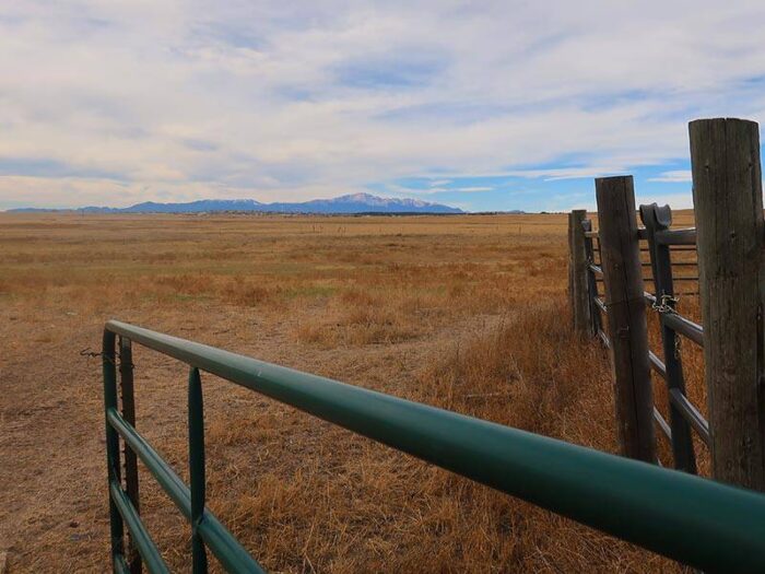 4-Way Ranch