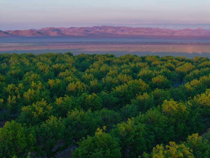Koehn Ranch and Farm
