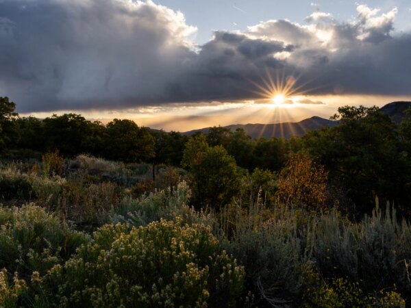 Field Notes 2025: Best Land Bulletin Episodes
