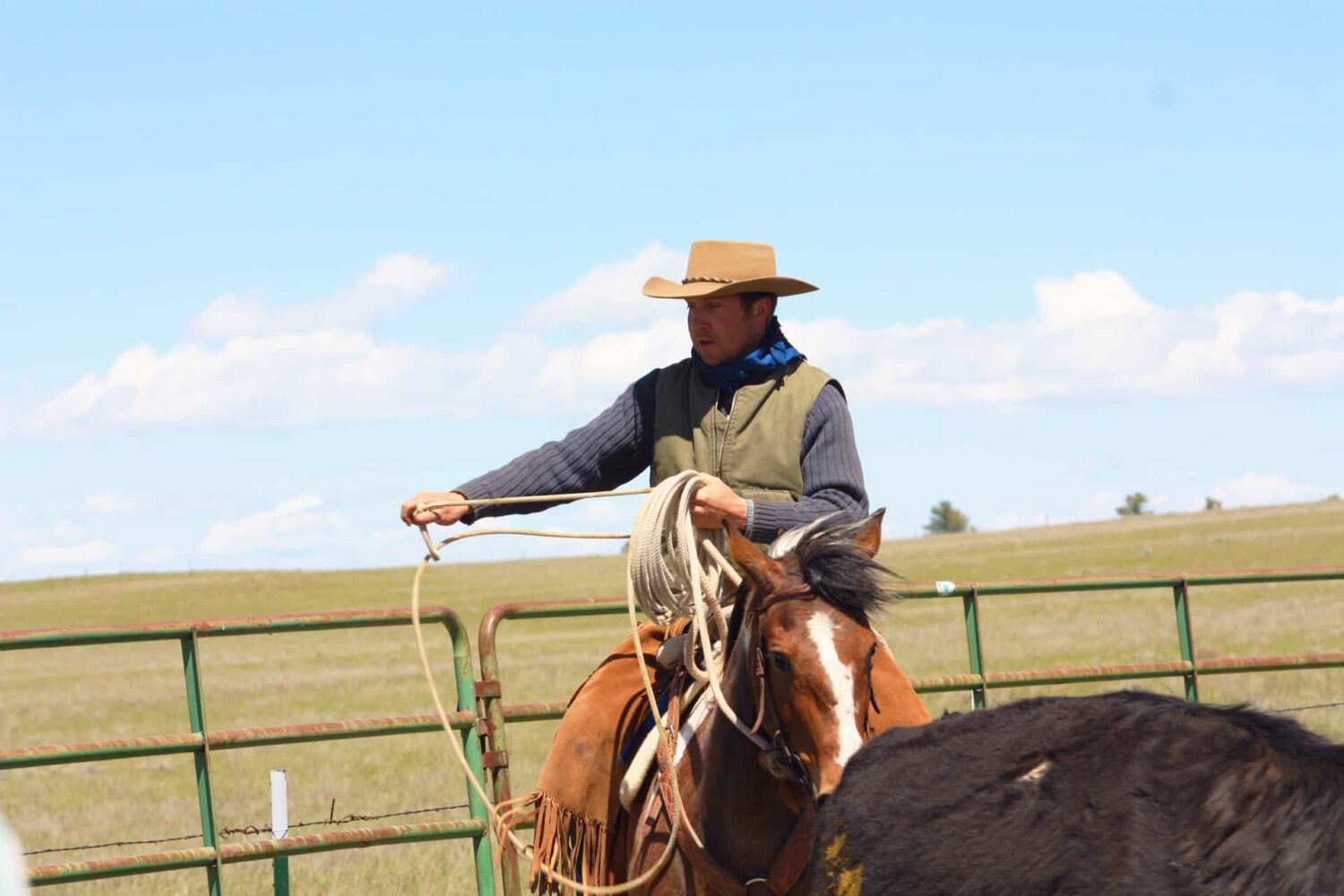 Jared Souza | Ranch Broker
