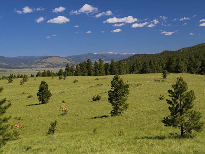 Moreno Valley Ranch
