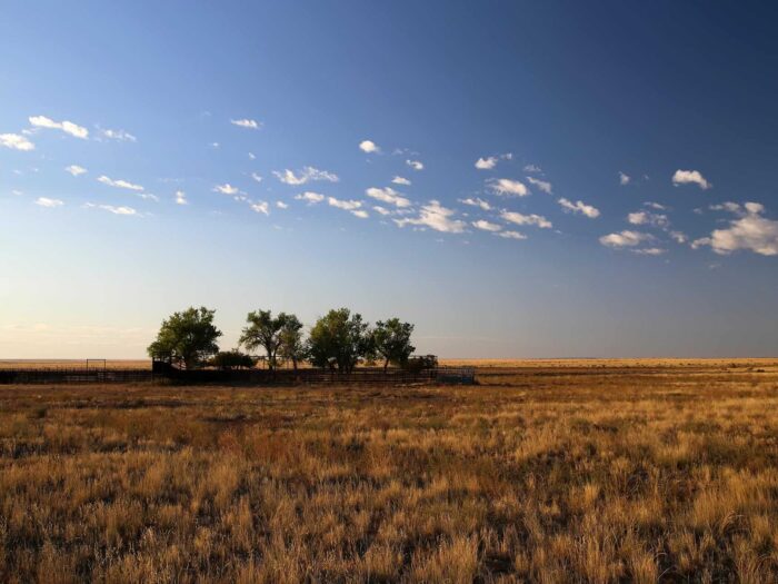 BX Ranch