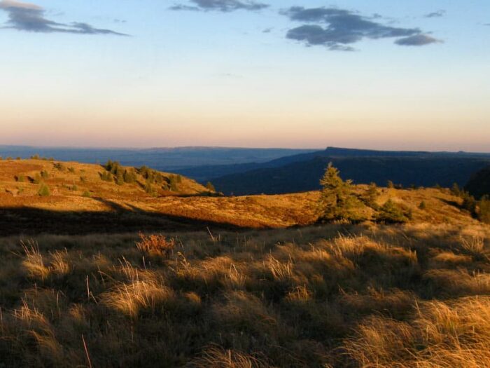 Barela Mesa Ranch