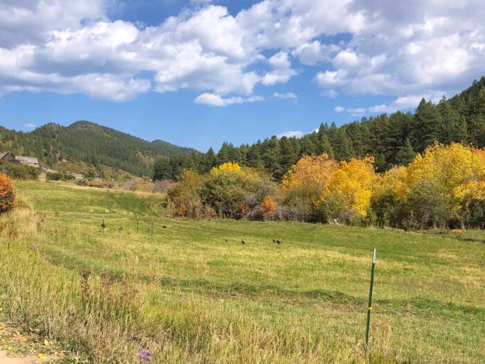 Bear Creek Meadows