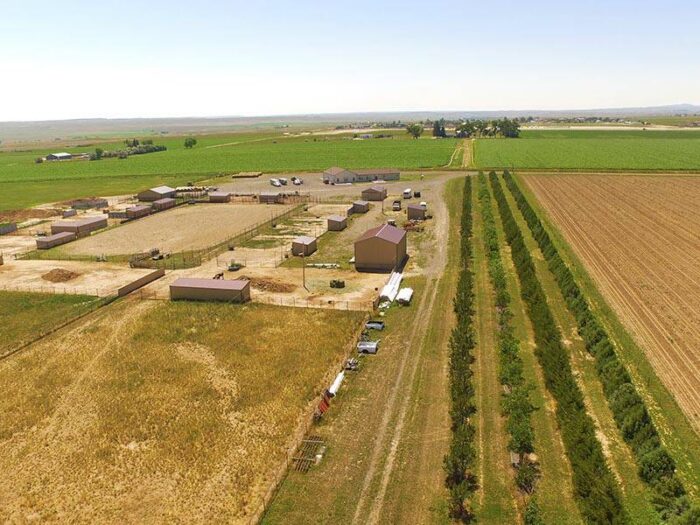 Bellis Road Acreage