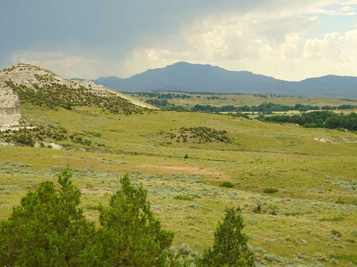Bluff View Ranch