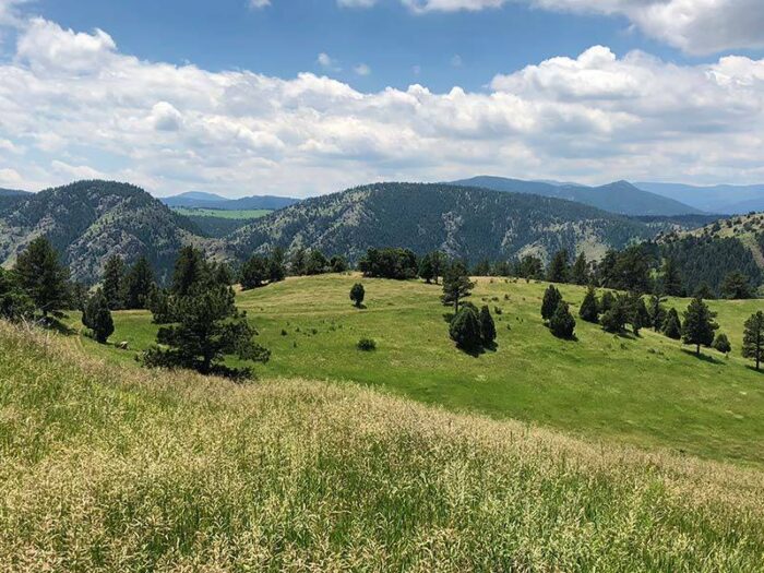Braun Peak Ranch
