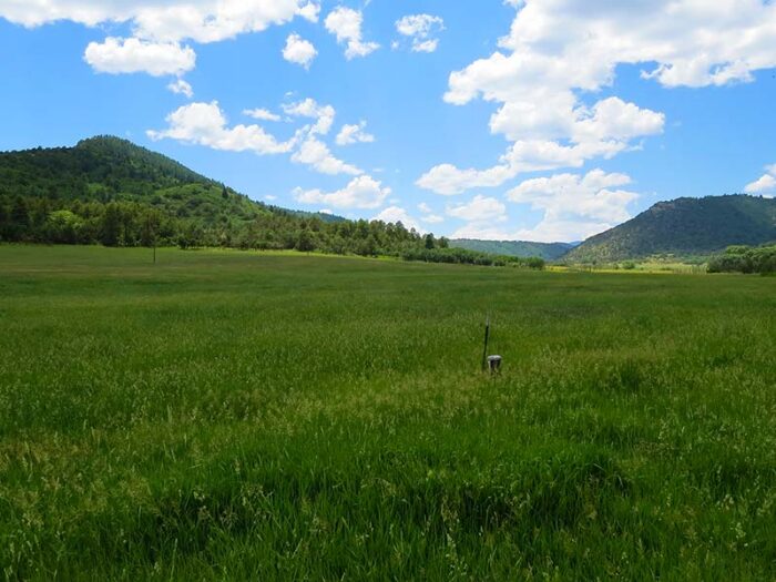 Brunelli Ranch