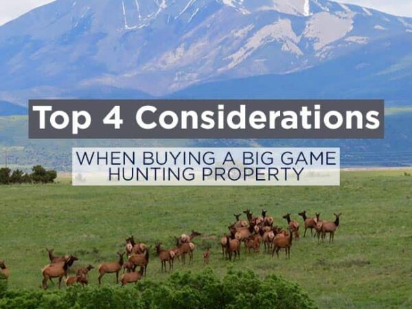 Top 4 Considerations When Buying a Big Game Hunting Property