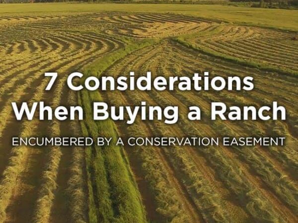 7 Considerations When Buying a Ranch Encumbered by a Conservation Easement