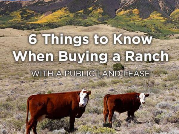 6 Things to Know When Buying a Ranch with a Public Land Lease