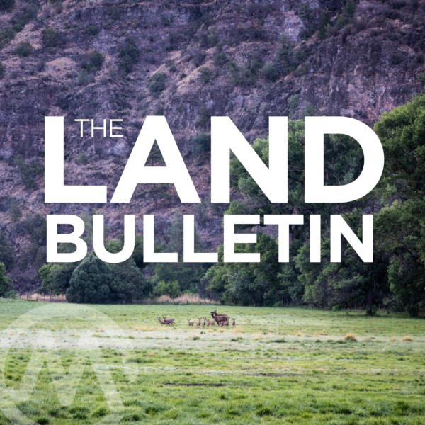 Back 40: Exploring the Gila Wilderness, NM