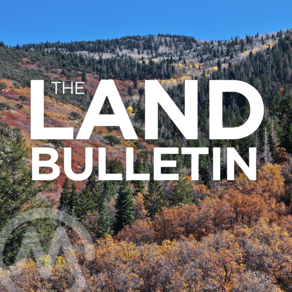 Back 40: Exploring the Kamas Valley, UTah