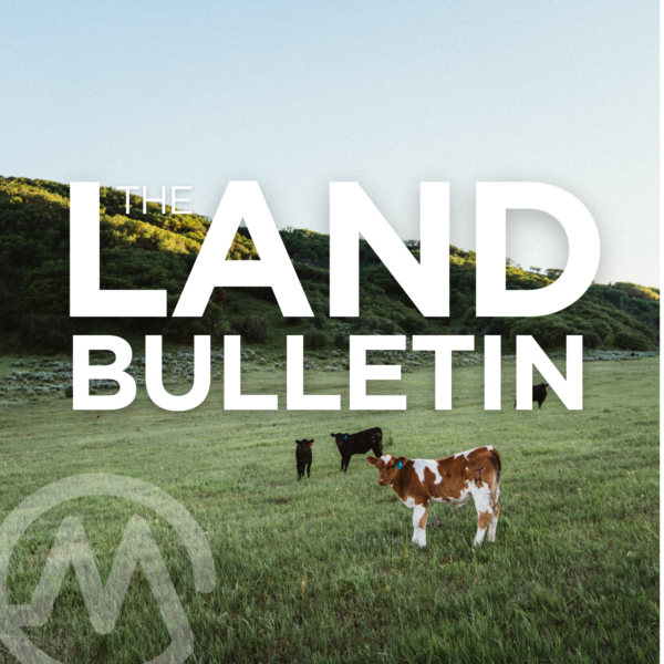 The Women Behind Beef Advocacy