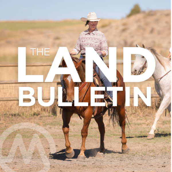 How Women are Building the Future of Ranching
