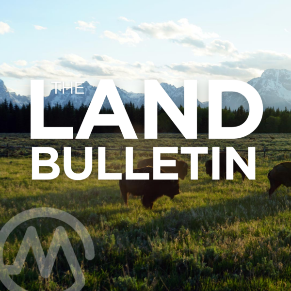 The Wild Side of Wyoming with Davis LaMair
