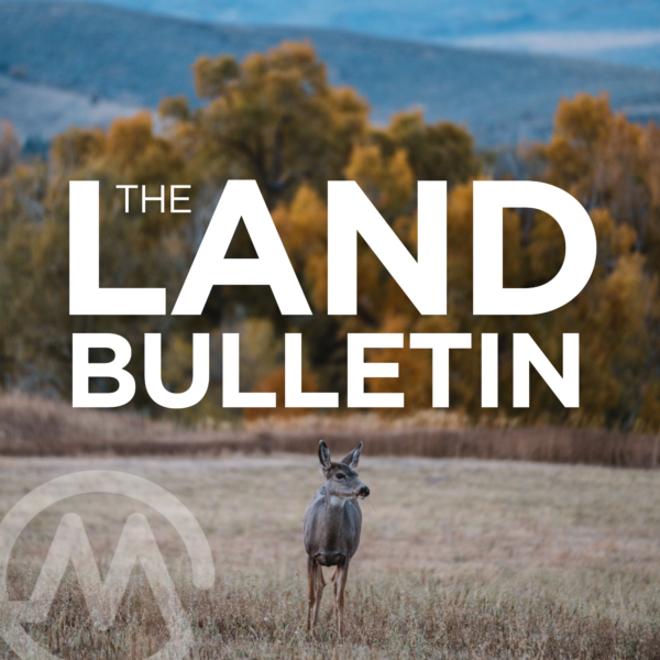 Integrating Wildlife into Ranch Management
