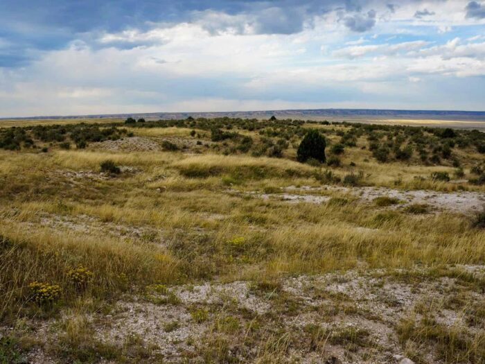 Canyon Springs Ranch