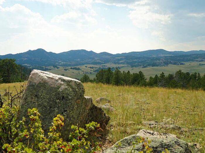 Corduroy Creek Ranch