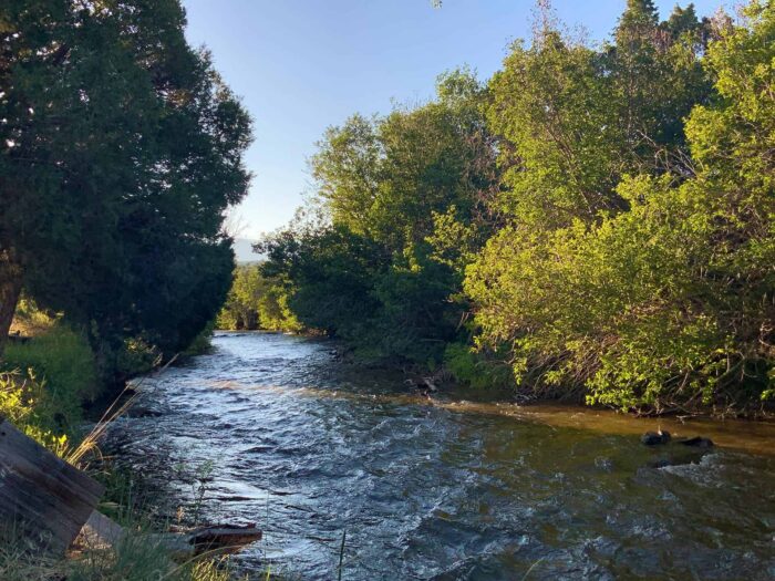 Costilla Creek Fishing Ranch
