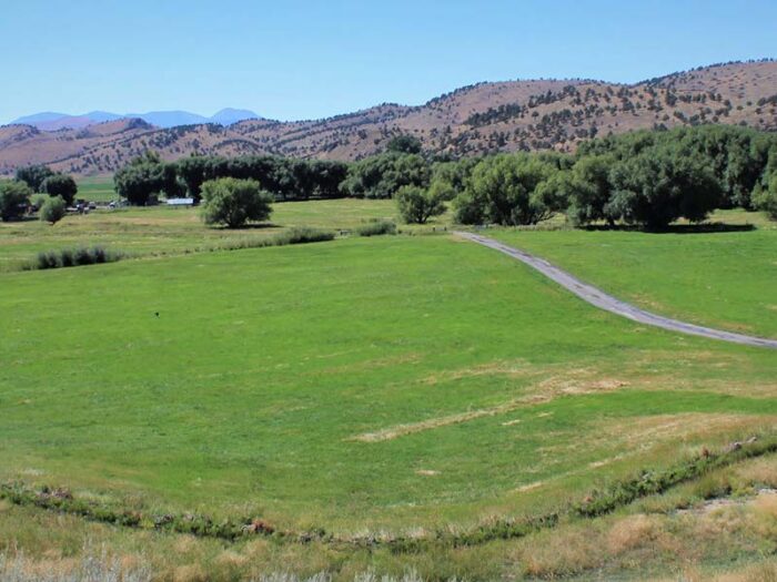 Cottonwood Ranch