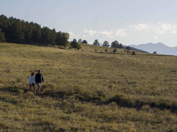 Cross D Bar Ranch