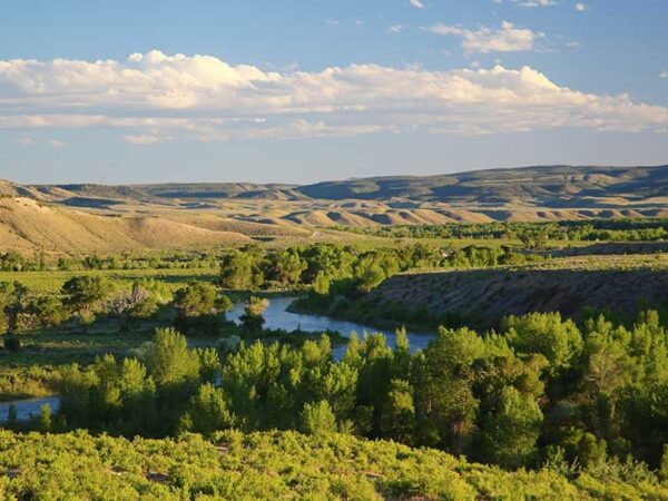 Cross Mountain Ranch: Seller Case Story