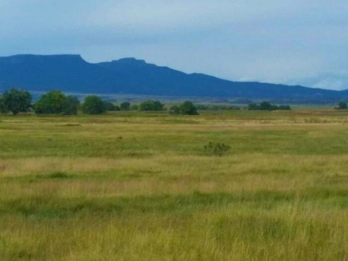 Cummings Ranch