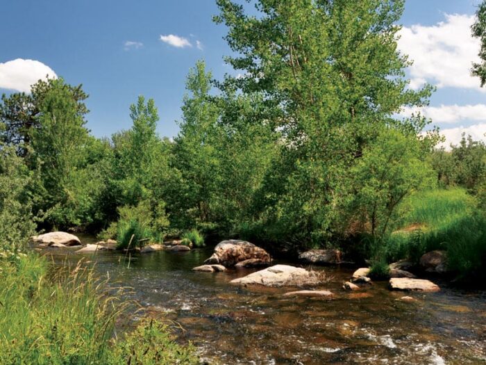 Dakota Ranch