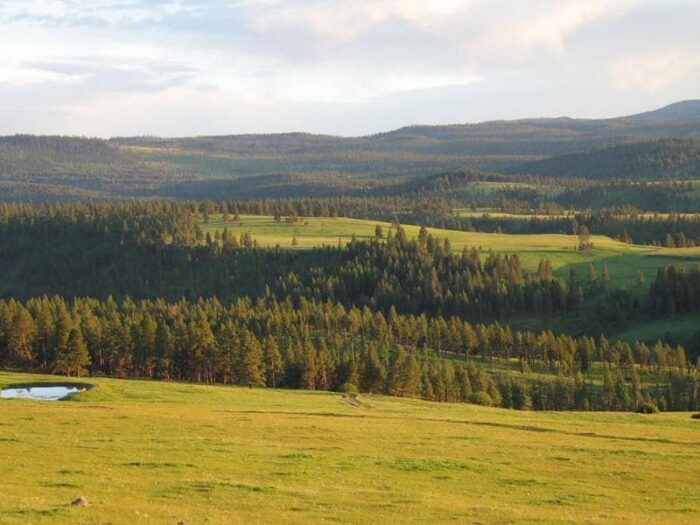Elk Song Ranch