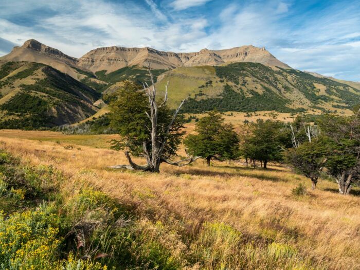 The Parcels at Torres del Paine Conservation Reserve