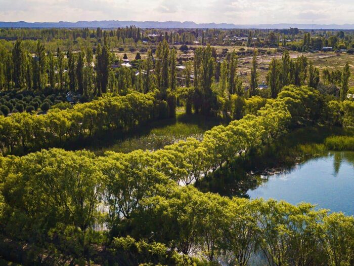 Finca Cerrito