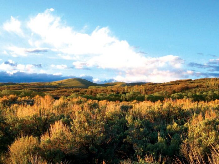 Fishlake Ranch