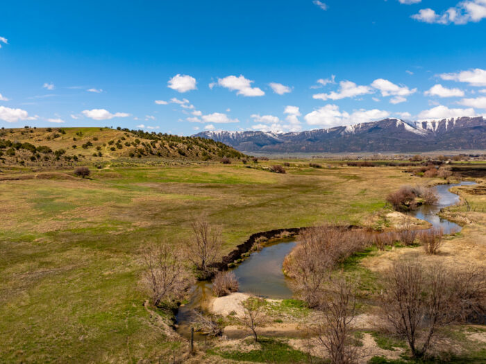 Flying T Ranch