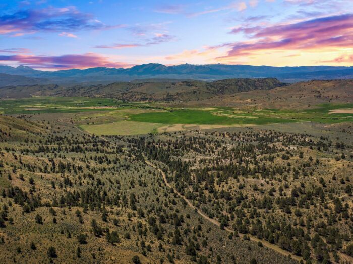 Four S Land & Cattle