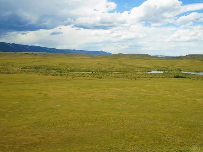 Gibbons Ranch