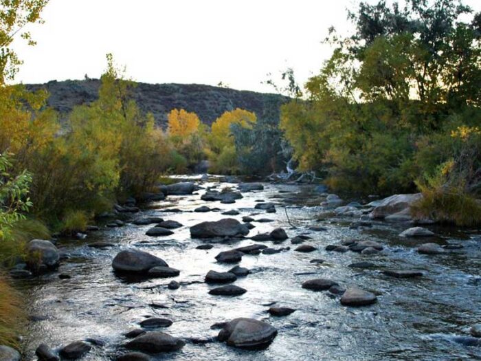 Hammer Stone Ranch