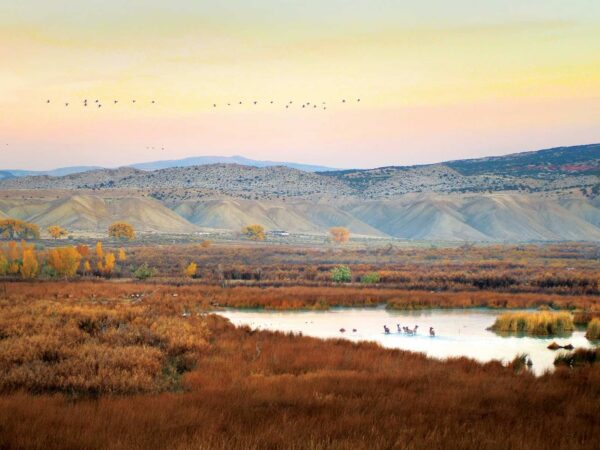 How Do We Know What a Ranch is Worth?