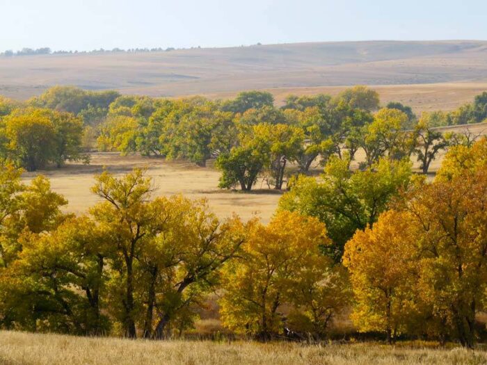 Wilson Creek Ranch