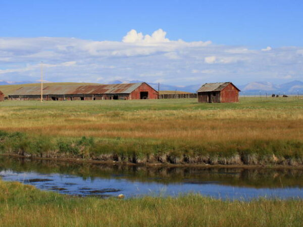 Ranch Broker Essential Characteristic #2: Education