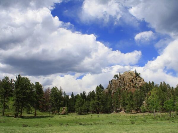 Ranch Broker Essential Characteristic #3: Understanding of the Issues