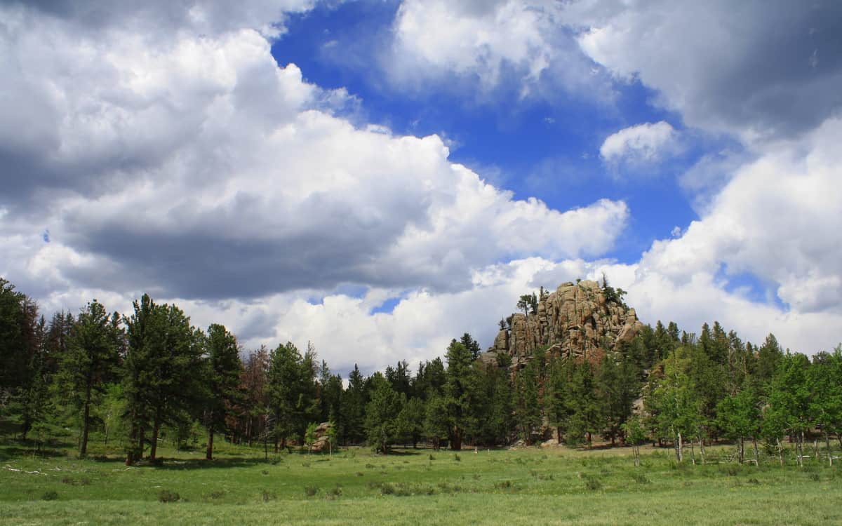 A ranch broker can help sell properties like this Larimer County ranch