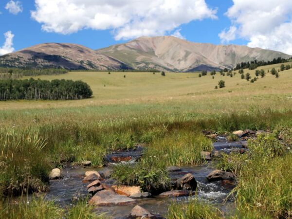 Ranch Broker Essential Characteristic #6: Passion for the American West