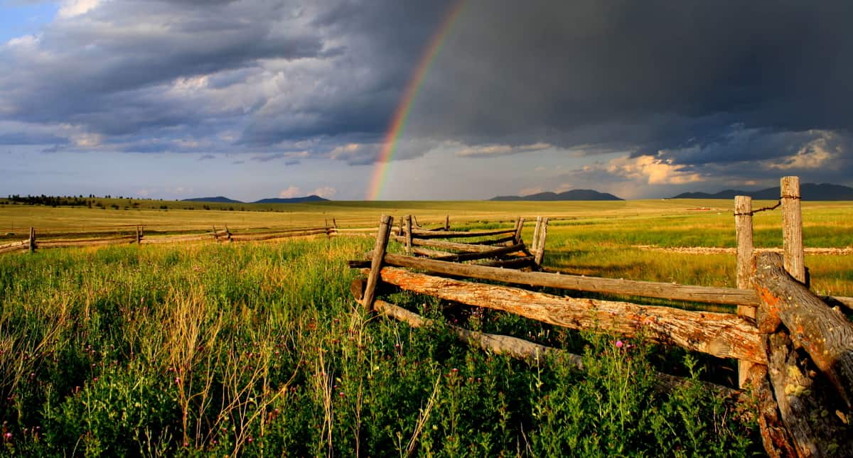 Ranches for Sale: Fenceline - Survey?