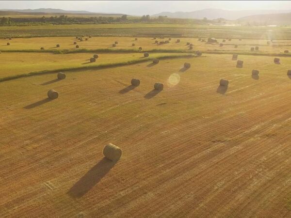 Where is the best place to buy a ranch?
