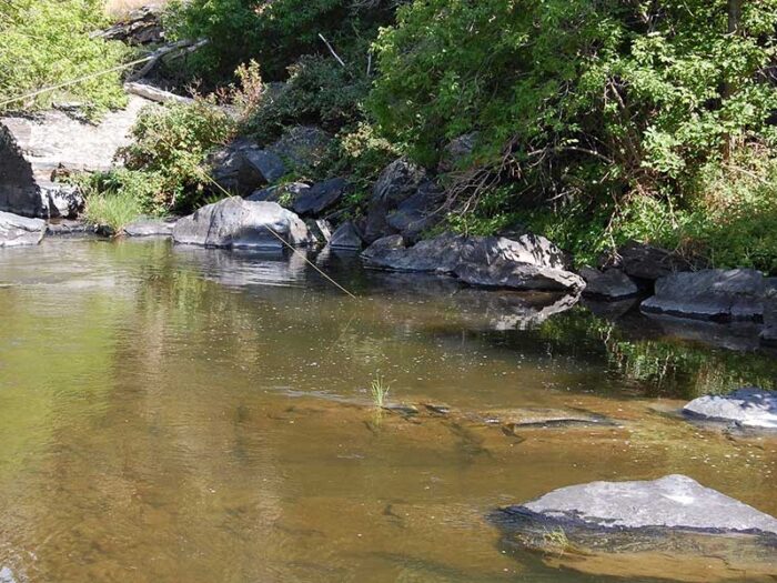 Laramie River Fishing Retreat