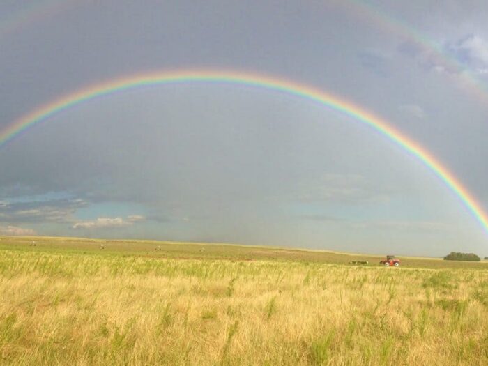 Living Springs Ranch