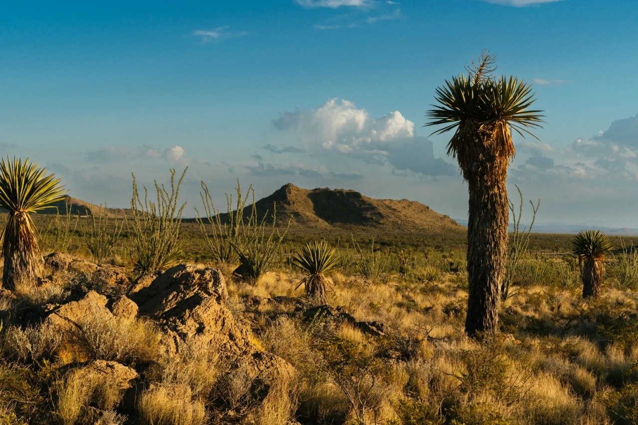 McMillan Ranch