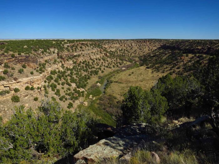 Model Ranch